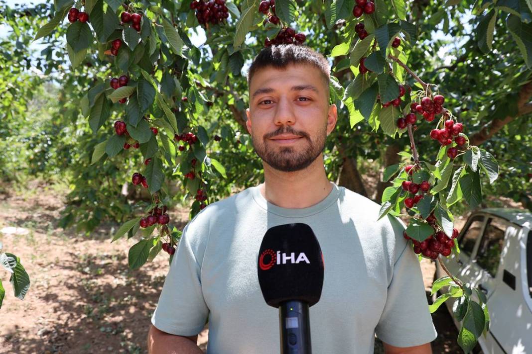 O kentin kirazını almak için Avrupa ülkeleri sıraya girdi! İç pazarda yok denecek kadar, en çok yurt dışına gönderiliyor 10